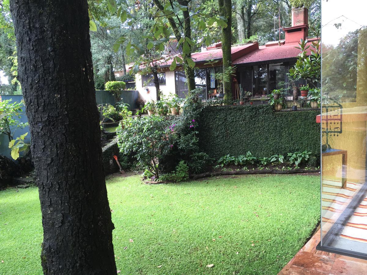 Refugio En El Bosque De Agua En Cuernavaca Villa Kültér fotó