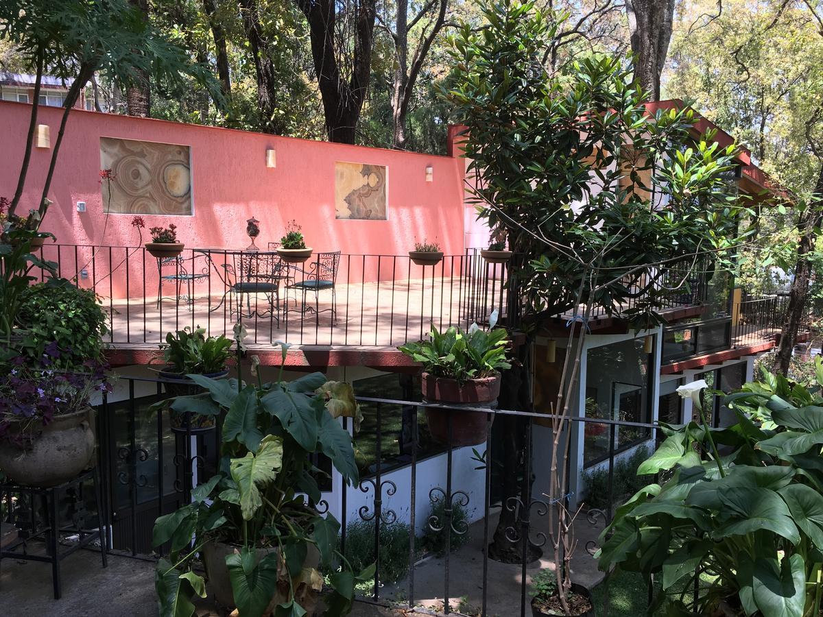 Refugio En El Bosque De Agua En Cuernavaca Villa Kültér fotó